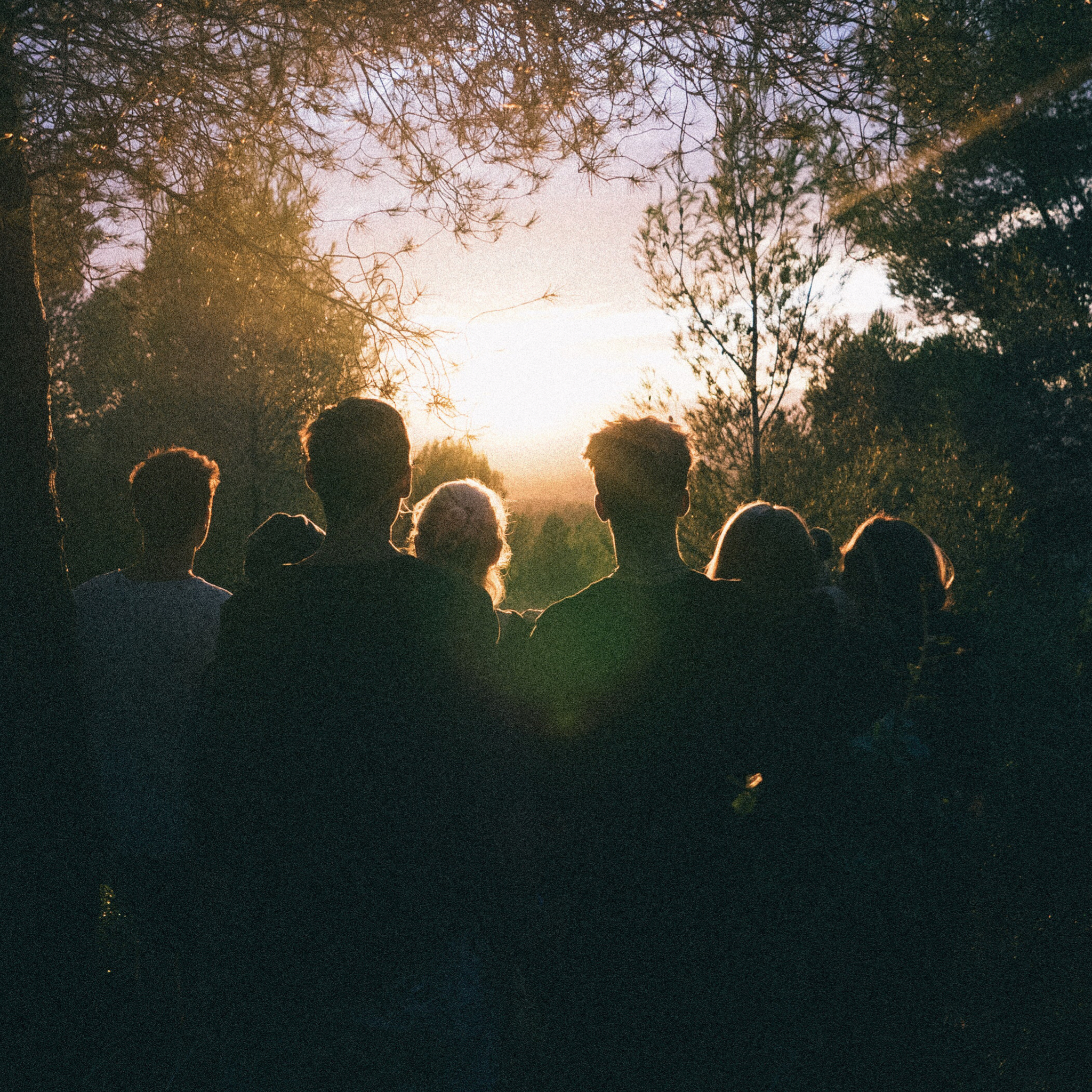 The Shepherding Gift: Curating Christian Community