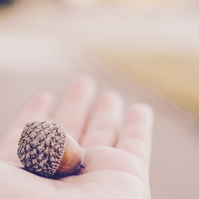 APEST and Church Planting