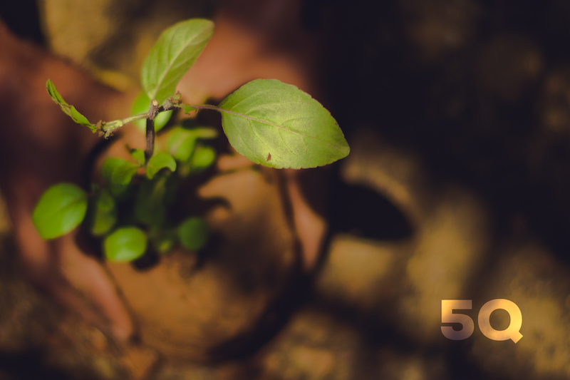 APEST and Church Planting